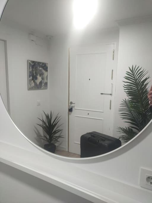 Les Cases Apartamento
